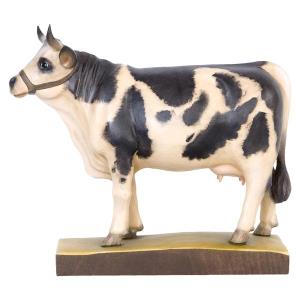 Mucca