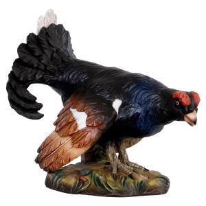 Black Grouse