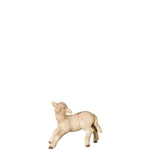 O-Agnello che salta