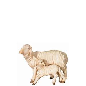 O-Pecora e agnello in piedi