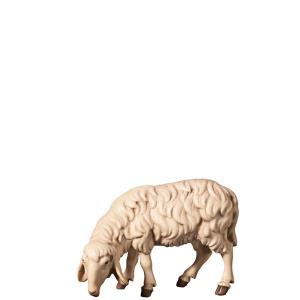 H-Pecora che bruca a sinistra