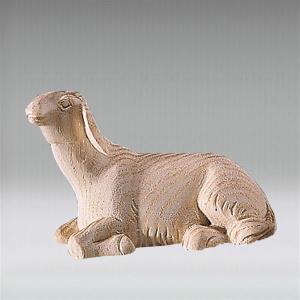 Pecora sdraiata
