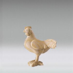 Gallina