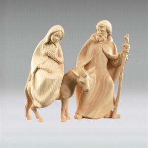 In search of shelter - Group