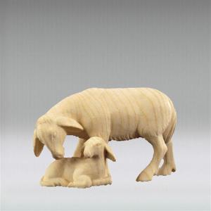 Pecora con Agnello