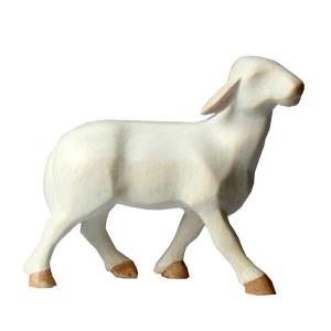 Leonardo Sheep standing upright