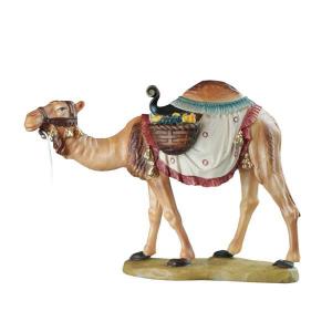 Camel