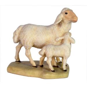 Sheep with lamb