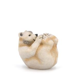 Orso polare sulla schiena