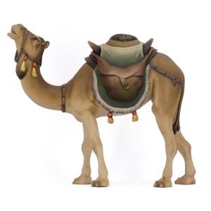 Cammello