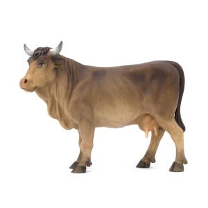 Mucca