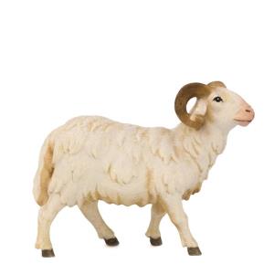 Ariete