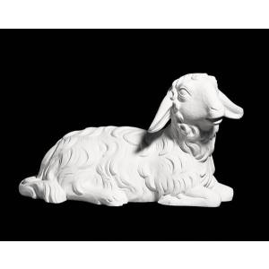 Fatima Sheep