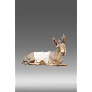 Donkey resting with blanket