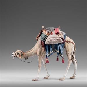 Dromedary with bags for King