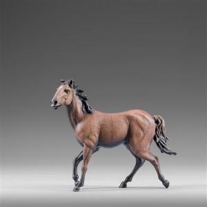 Cavallo marrone