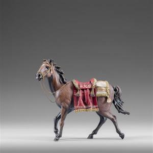 Cavallo addobato
