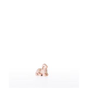 Lamb