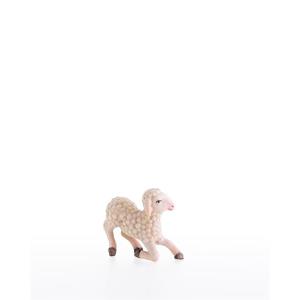 Sheep standing