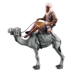 Camel rider