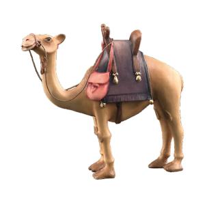 Camel
