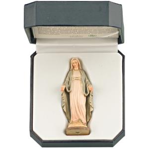 Virgin of Medjugorje with case