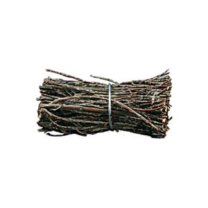 Bundle of twigs