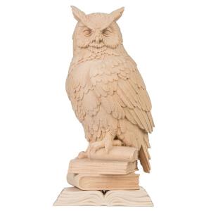 owl on books pine