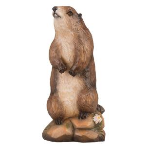 marmot