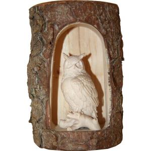 owl on tree in grotte