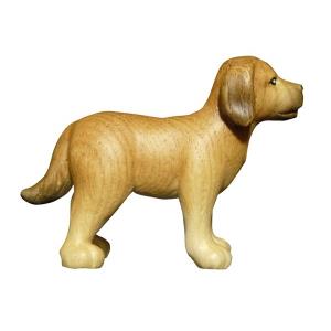 Cane