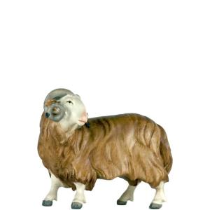Ariete
