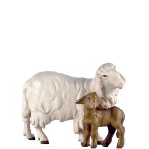 Schaf mit 1 Lamm
