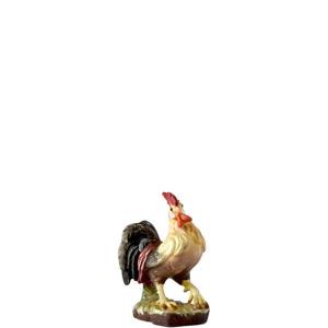 Gallo