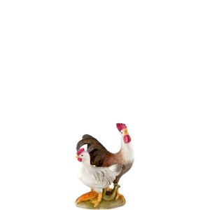 Gallo e Gallina in piedi
