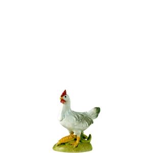 Gallina in piedi