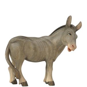 Donkey standing