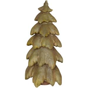 fir tree in wood