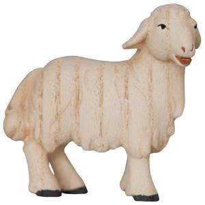 Lamb