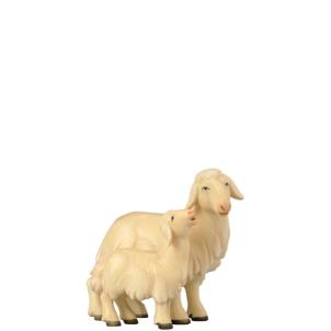 Sheep with lamb