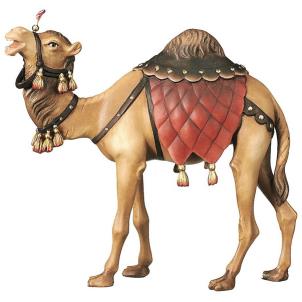 Camello