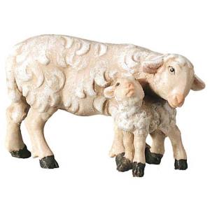 Pecora con agnello in piedi