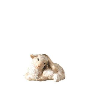 Agnello che si gratta