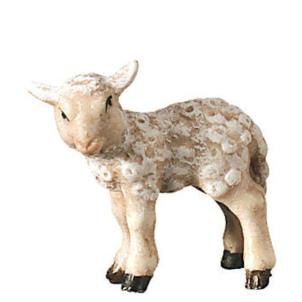 Agnello in piedi