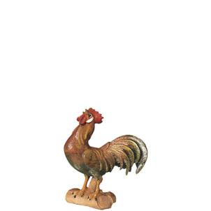 Gallo su ramo