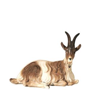 Capra sdraiata