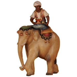 Elefante (senza servitore seduto)