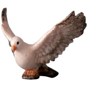 Taube fliegend