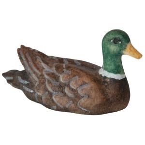 Schwimmende Ente