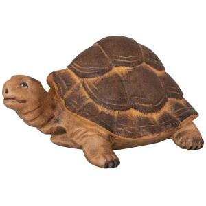 Riesenschildkröte